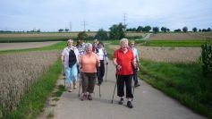 nordicwalking