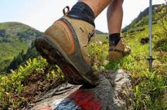 Tageswanderungen